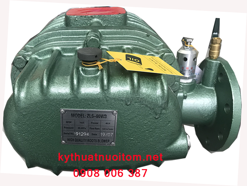 Thiết bị nuôi tôm - Máy thổi khí 80 ZLS Thiết bị nuôi tôm - Máy thổi khí 80 ZLS