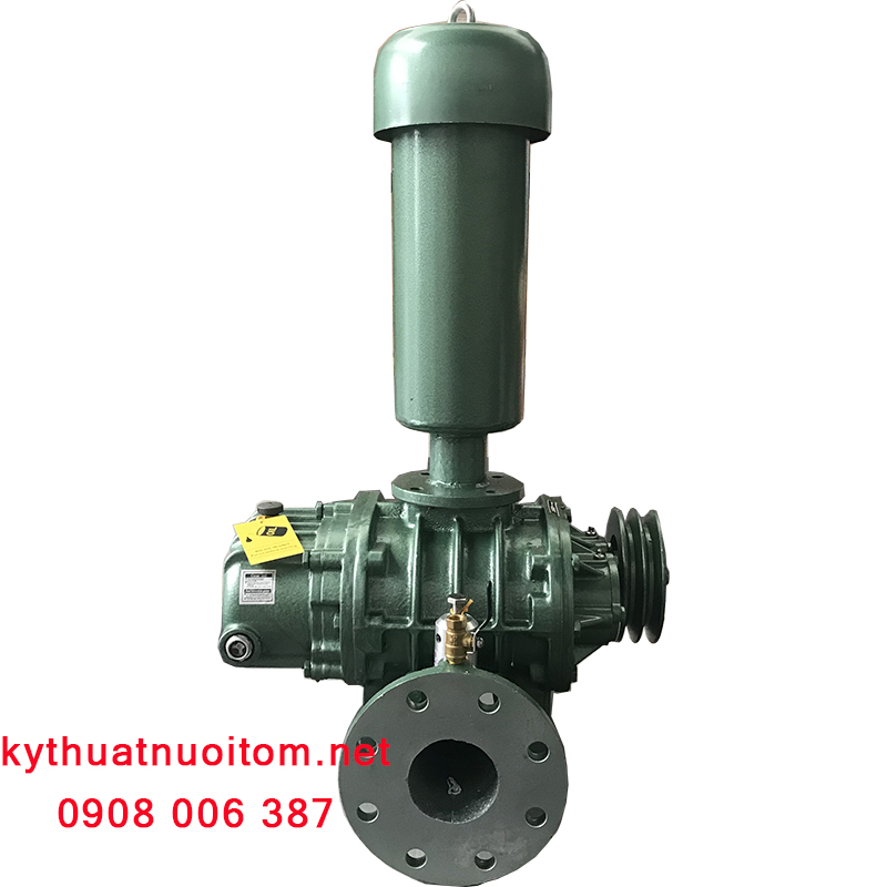 Thiết bị nuôi tôm - Máy thổi khí 80 ZLS Thiết bị nuôi tôm - Máy thổi khí 80 ZLS