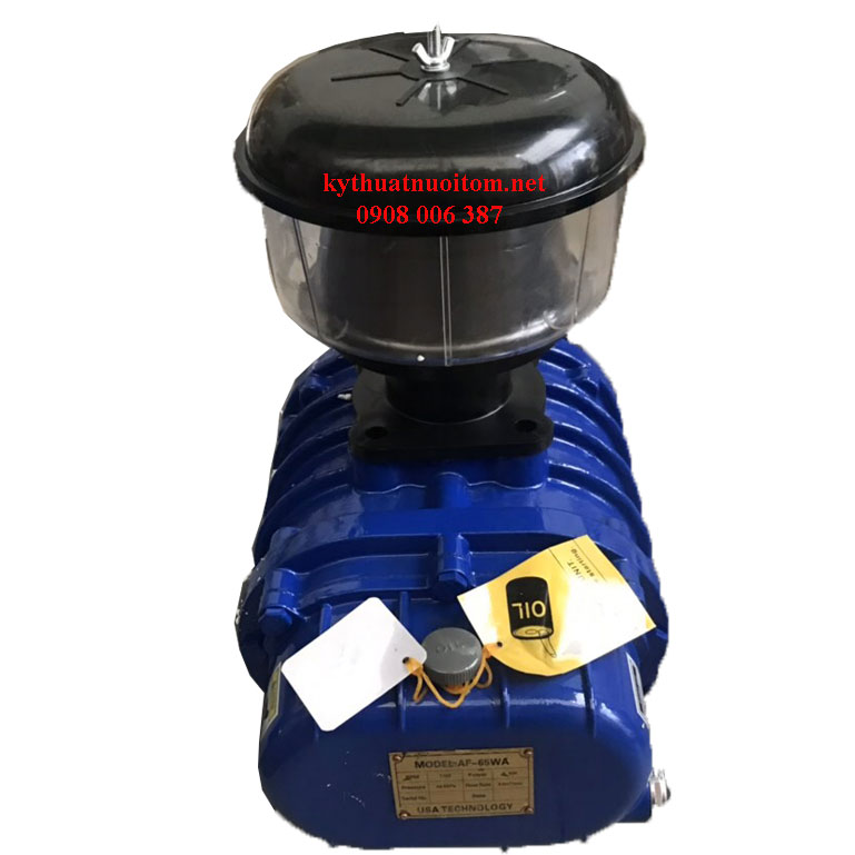 Thiết bị nuôi tôm - Máy thổi khí AF65-3kw công nghệ Mỹ Thiết bị nuôi tôm - Máy thổi khí AF65-3kw công nghệ Mỹ