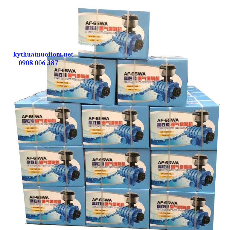 Thiết bị nuôi tôm - Máy thổi khí AF65-3kw công nghệ Mỹ Thiết bị nuôi tôm - Máy thổi khí AF65-3kw công nghệ Mỹ