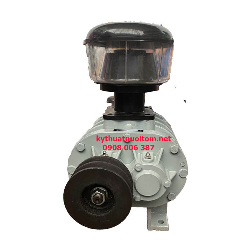 Thiết bị nuôi tôm - Máy thổi khí AV 65 -3 kw Thiết bị nuôi tôm - Máy thổi khí AV 65 -3 kw