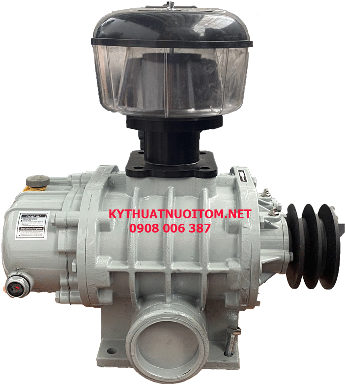 Thiết bị nuôi tôm - Máy thổi khí AV 65 -3 kw Thiết bị nuôi tôm - Máy thổi khí AV 65 -3 kw