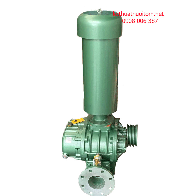 Thiết bị nuôi tôm - Máy thổi khí Model 100WA Thiết bị nuôi tôm - Máy thổi khí Model 100WA