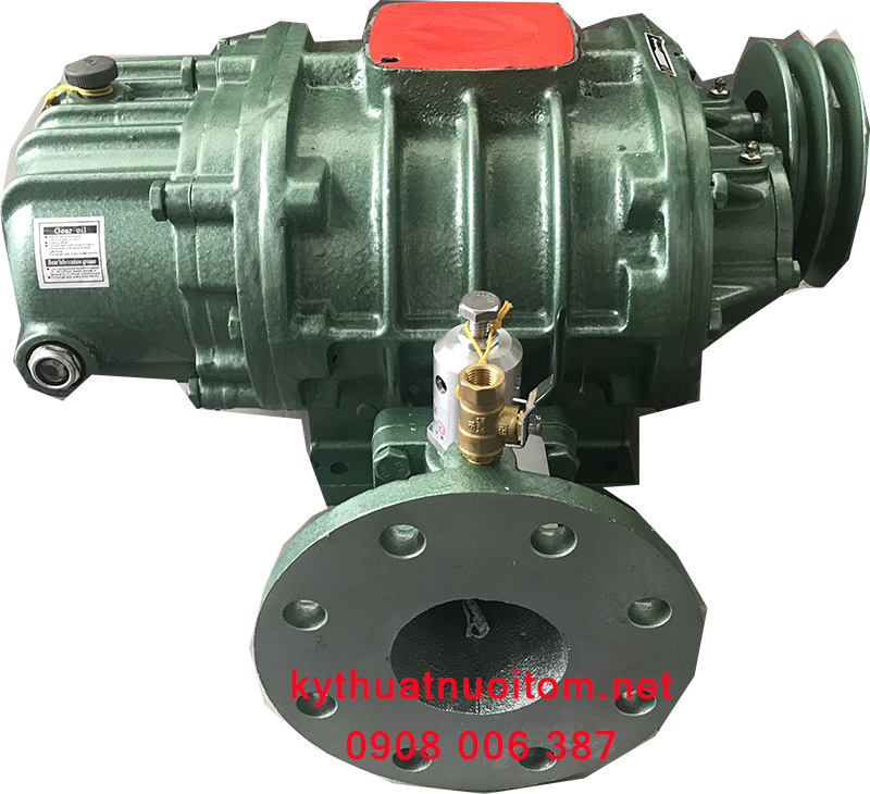 Thiết bị nuôi tôm - Máy thổi khí 80 ZLS Thiết bị nuôi tôm - Máy thổi khí 80 ZLS