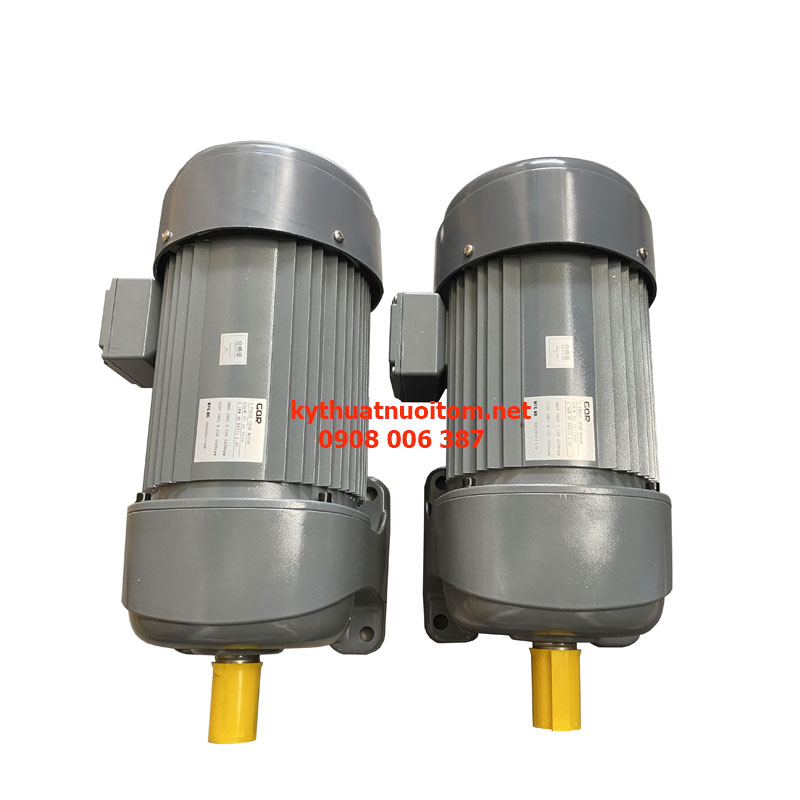 Thiết bị nuôi tôm - Motor giảm tốc Thiết bị nuôi tôm - Motor giảm tốc