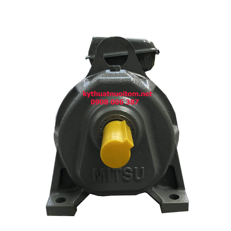 Thiết bị nuôi tôm - Motor giảm tốc Mitsu 1,5kw Thiết bị nuôi tôm - Motor giảm tốc Mitsu 1,5kw