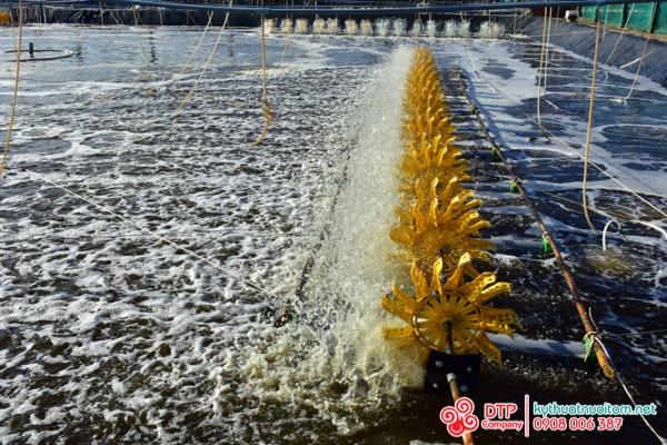 cánh quạt nuôi tôm cánh quạt nuôi tôm