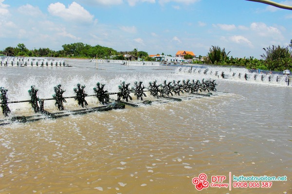 cánh quạt nuôi tôm cánh quạt nuôi tôm