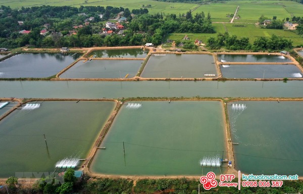 cánh quạt nuôi tôm cánh quạt nuôi tôm