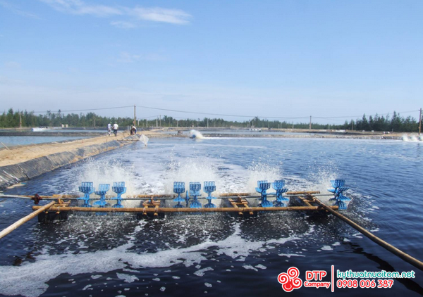 cánh quạt nuôi tôm cánh quạt nuôi tôm