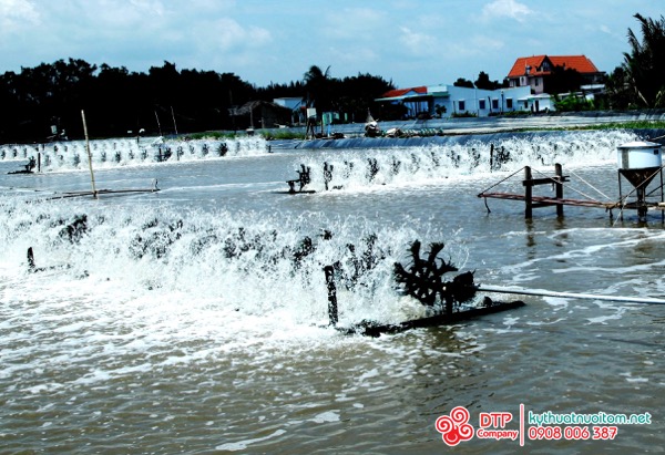cánh quạt nuôi tôm cánh quạt nuôi tôm