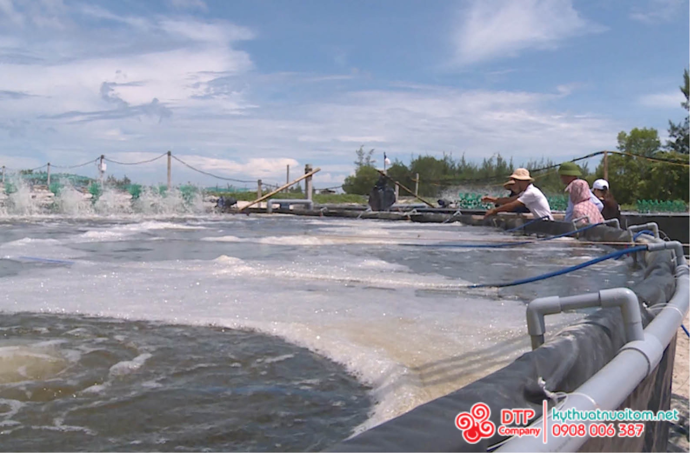 Kỹ thuật nuôi tôm Kỹ thuật nuôi tôm