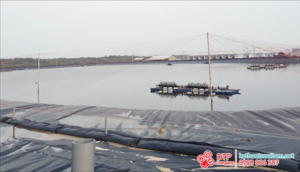 Kỹ thuật nuôi tôm Kỹ thuật nuôi tôm