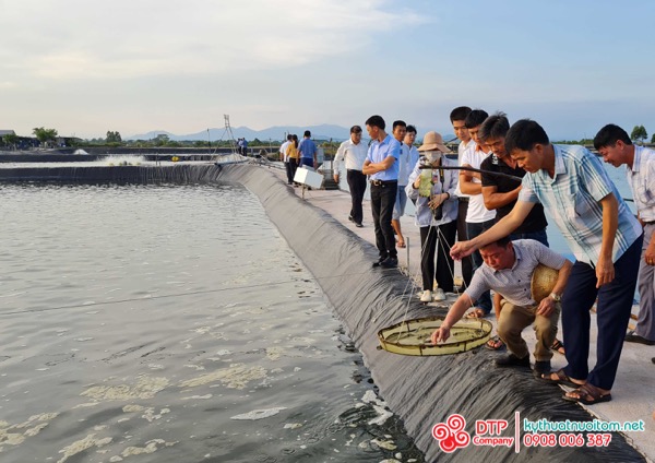 kỹ thuật nuôi tôm kỹ thuật nuôi tôm