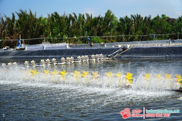 thiết bị nuôi tôm thiết bị nuôi tôm