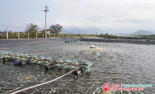 thiết bị nuôi tôm thiết bị nuôi tôm
