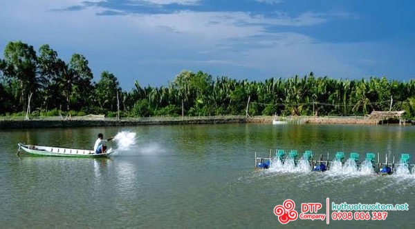 thiết bị nuôi tôm thiết bị nuôi tôm
