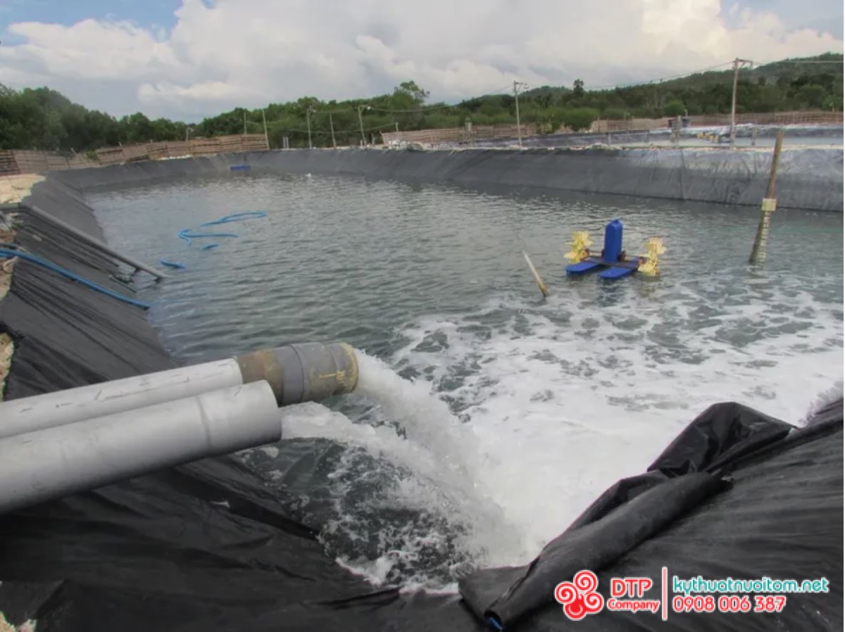 thiết bị nuôi tôm thiết bị nuôi tôm