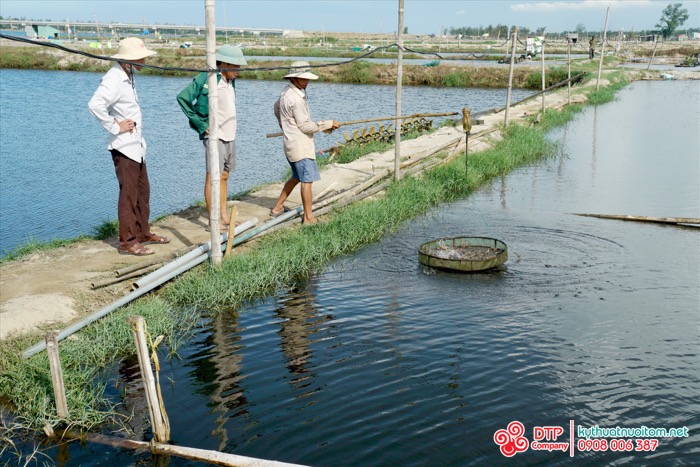 thiết bị nuôi tôm thiết bị nuôi tôm