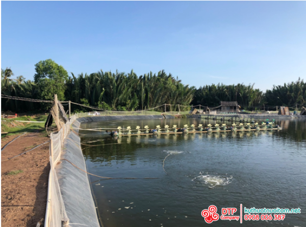 thiết bị nuôi tôm thiết bị nuôi tôm