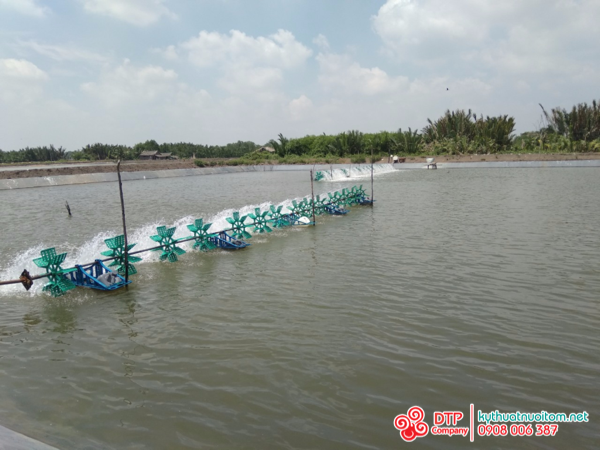 thiết bị nuôi tôm thiết bị nuôi tôm