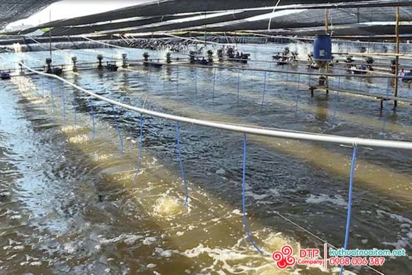 cánh quạt nuôi tôm cánh quạt nuôi tôm