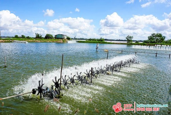 cánh quạt nuôi tôm cánh quạt nuôi tôm