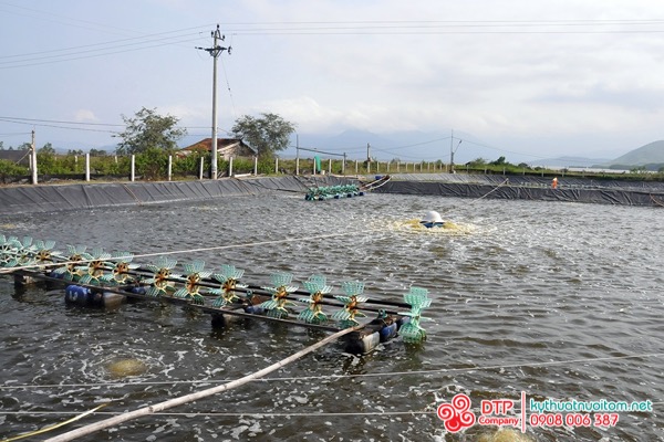 cánh quạt nuôi tôm cánh quạt nuôi tôm
