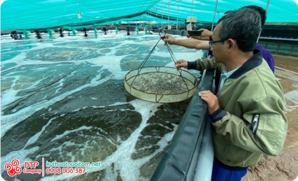 cánh quạt nuôi tôm cánh quạt nuôi tôm