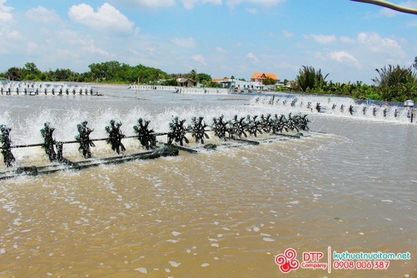 cánh quạt nuôi tôm cánh quạt nuôi tôm