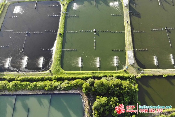 cánh quạt nuôi tôm cánh quạt nuôi tôm