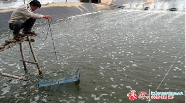 cánh quạt nuôi tôm cánh quạt nuôi tôm