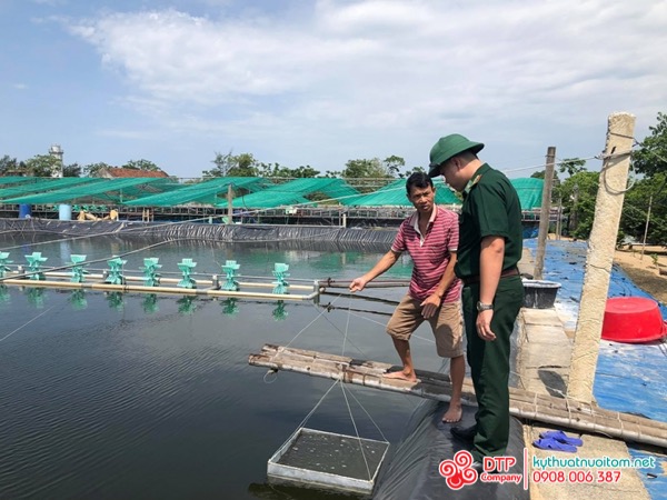 cánh quạt nuôi tôm cánh quạt nuôi tôm