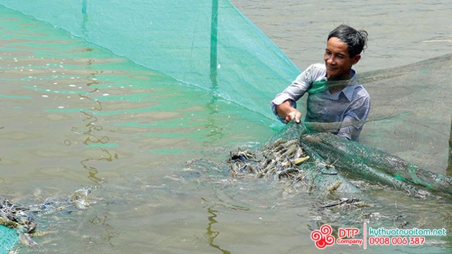 cánh quạt nuôi tôm cánh quạt nuôi tôm