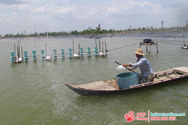 thiết bị nuôi tôm thiết bị nuôi tôm