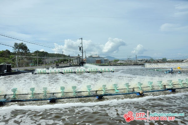 thiết bị nuôi tôm thiết bị nuôi tôm