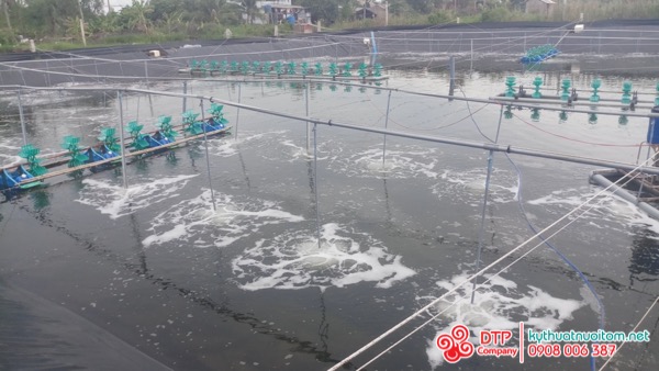 thiết bị nuôi tôm thiết bị nuôi tôm