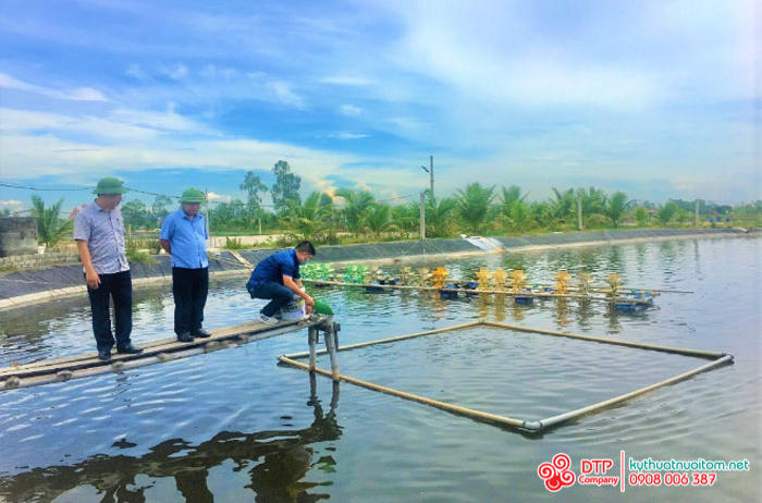 thiết bị nuôi tôm thiết bị nuôi tôm