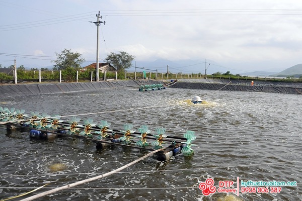 thiết bị nuôi tôm thiết bị nuôi tôm