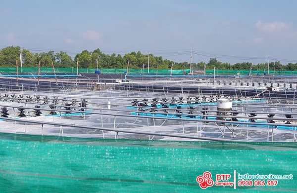 thiết bị nuôi tôm thiết bị nuôi tôm