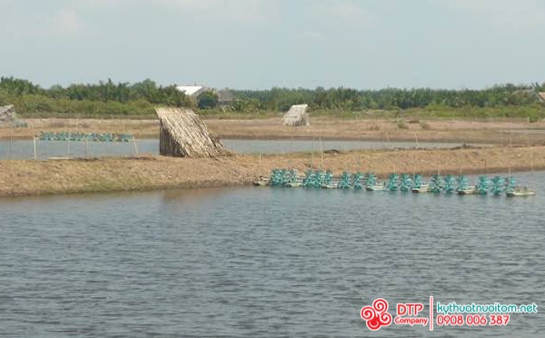 thiết bị nuôi tôm thiết bị nuôi tôm