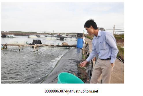 Chất thải sẽ được sử lý triệt để và nhanh chóng nhờ phương pháp xiphông Chất thải sẽ được sử lý triệt để và nhanh chóng nhờ phương pháp xiphông