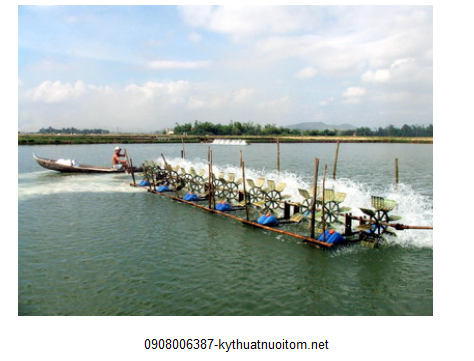 Trong quá trình dùng xiphông thì người dùng cần hạn chế làm xáo trộn đáy ao Trong quá trình dùng xiphông thì người dùng cần hạn chế làm xáo trộn đáy ao