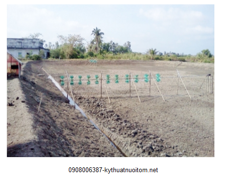 Xây dựng ao nuôi tôm đúng kỹ thuật là điều cực kỳ quan trọng Xây dựng ao nuôi tôm đúng kỹ thuật là điều cực kỳ quan trọng