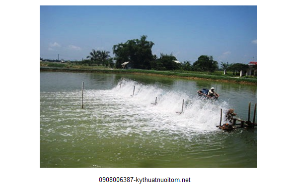 Thử độ mặn là một trong những bước quan trọng trong kỹ thuật nuôi tôm chuyên nghiệp nhằm đảm bảo môi trường tốt nhất cho tôm phát triển Thử độ mặn là một trong những bước quan trọng trong kỹ thuật nuôi tôm chuyên nghiệp nhằm đảm bảo môi trường tốt nhất cho tôm phát triển