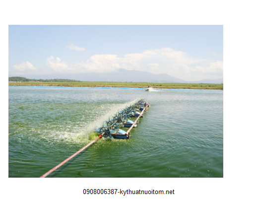 Theo dõi độ mặn thường xuyên là điều quan trọng bà con cần lưu ý khi nuôi tôm Theo dõi độ mặn thường xuyên là điều quan trọng bà con cần lưu ý khi nuôi tôm