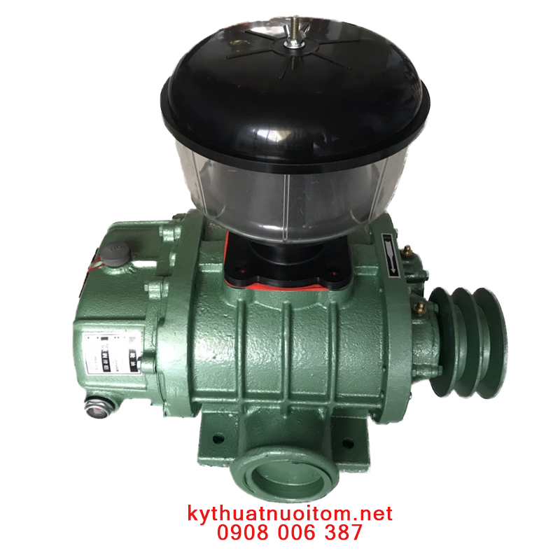 Thiết bị nuôi tôm - Máy thổi khí Hongrun Hre 65 - 3kw Thiết bị nuôi tôm - Máy thổi khí Hongrun Hre 65 - 3kw