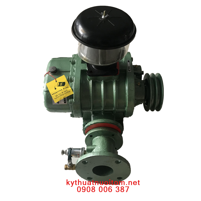 Thiết bị nuôi tôm -Máy thổi khí Hongrun  Hre 65 - 4kw Thiết bị nuôi tôm -Máy thổi khí Hongrun  Hre 65 - 4kw