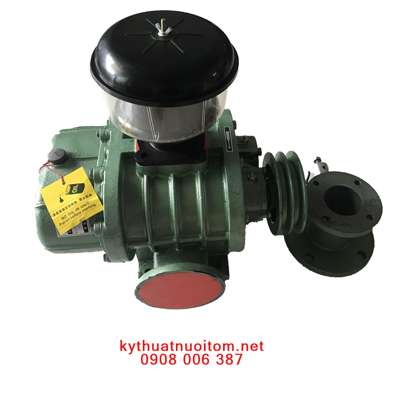 Thiết bị nuôi tôm -Máy thổi khí Hongrun  Hre 65 - 4kw Thiết bị nuôi tôm -Máy thổi khí Hongrun  Hre 65 - 4kw