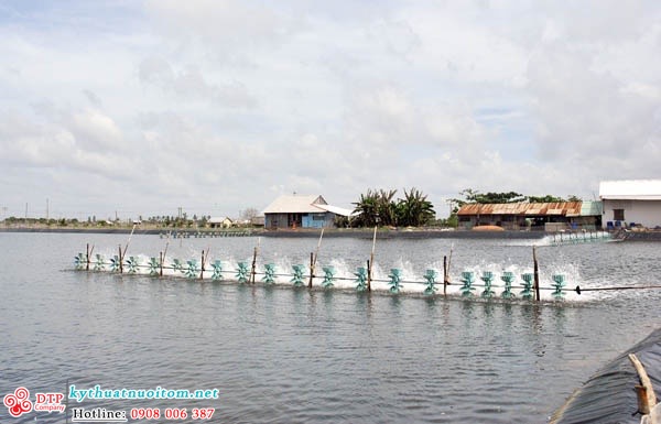 kỹ thuật nuôi tôm kỹ thuật nuôi tôm